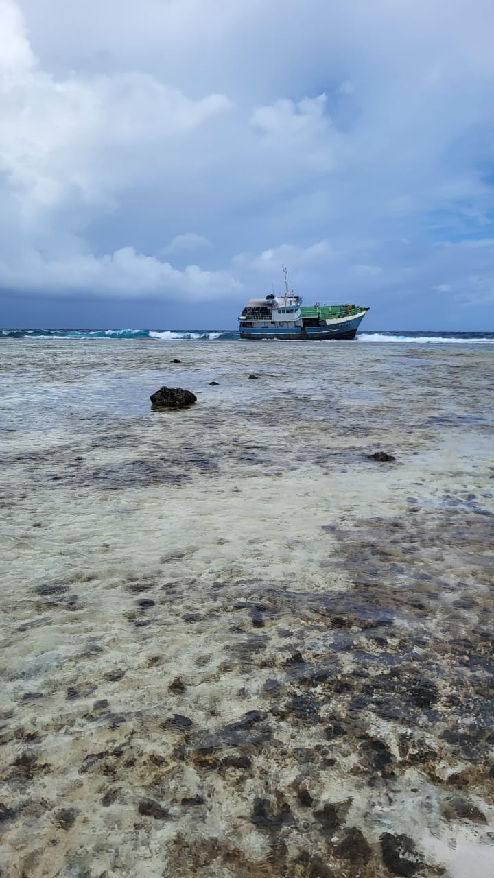 Photo 2022 11 07 11 02 44