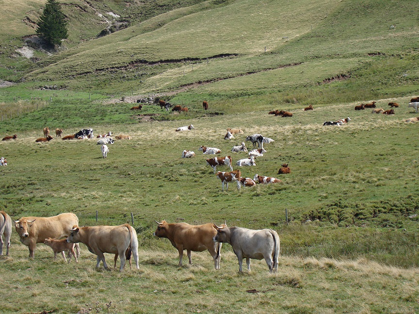 Dsc06687 1