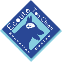 Ecoute-ton-chien-educateur-canin-removebg-preview