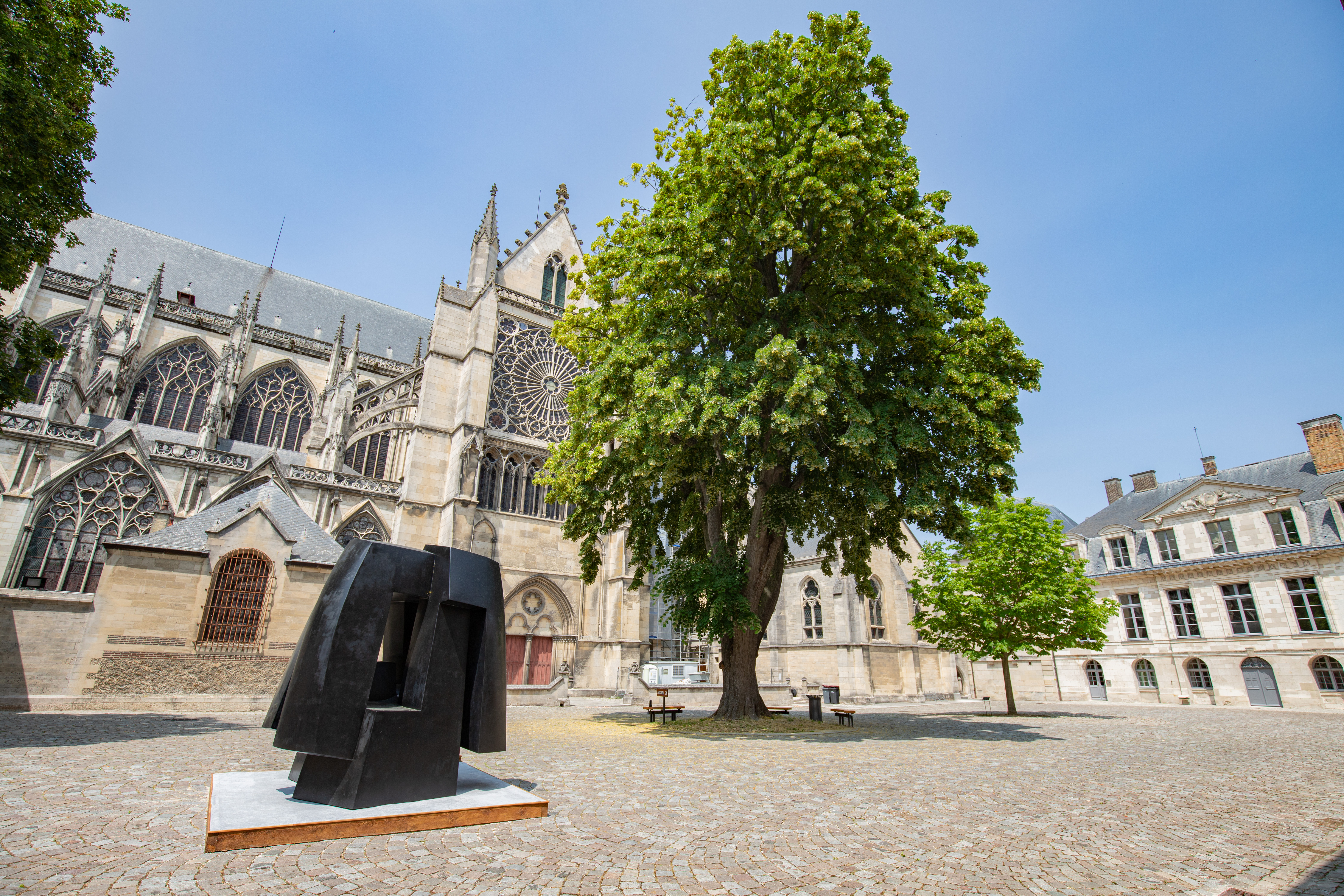 Parvine Curie, un monde sculpté