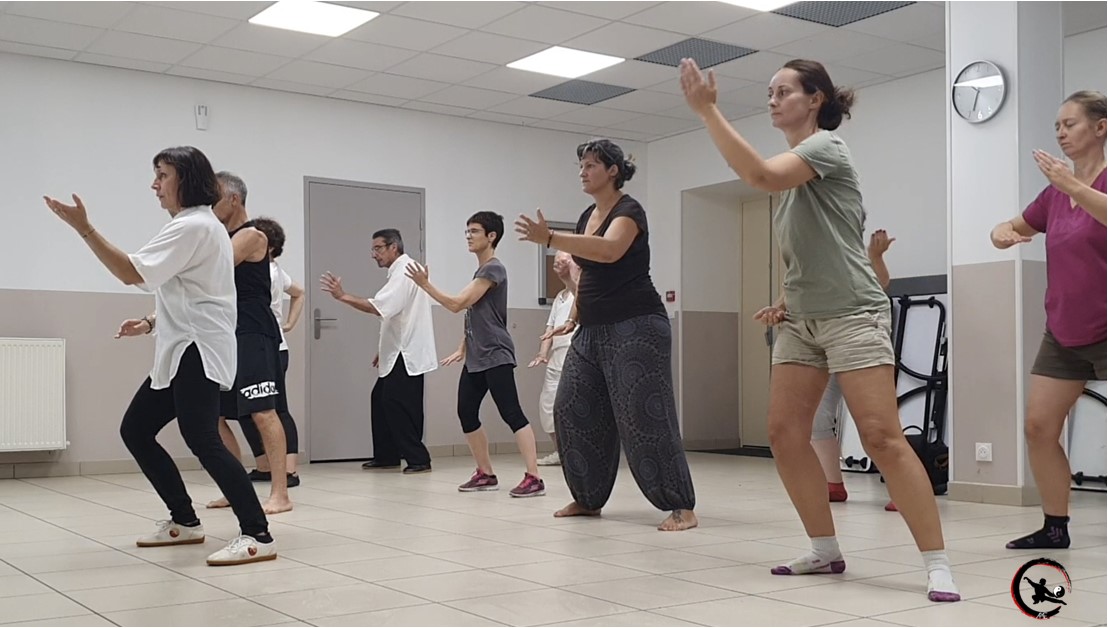 Actualite qi gong tai chi stage bourgoin 2023 07 09 3