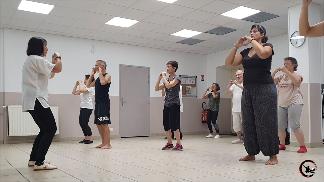Actualite qi gong tai chi stage bourgoin 2023 07 09 2