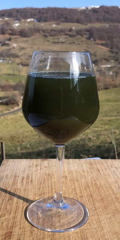 Purin d ortie dans un verre