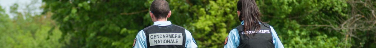 Croppedimage-4eb46e972316466595ae930d71d8592d