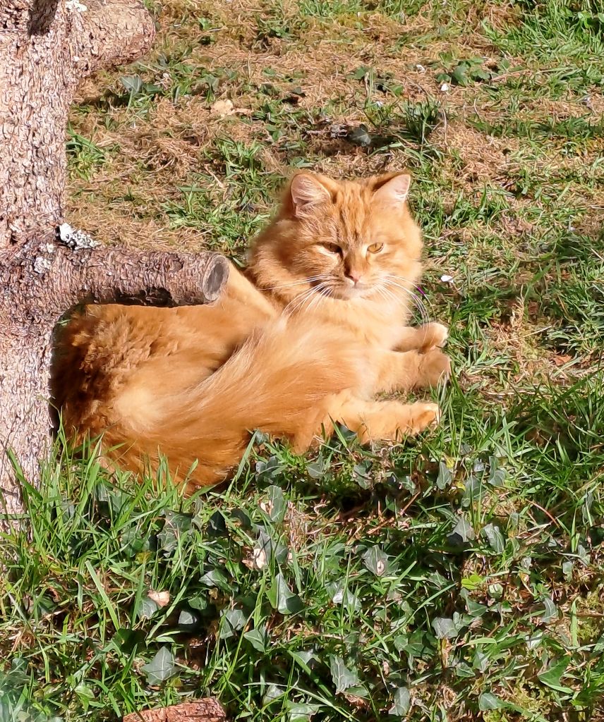 Tina