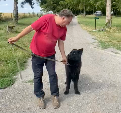 Testez la véritable connexion avec votre chien - Sans laisse, sans contrainte ! 