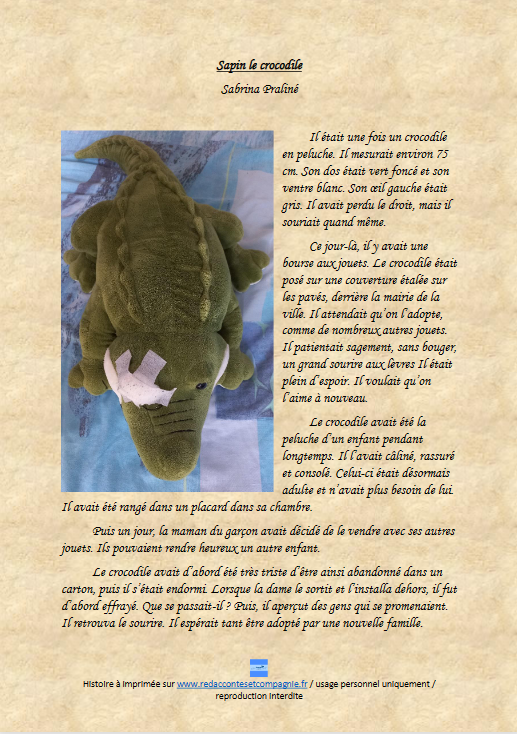 première page de l'histoire Sapin le crocodile.
