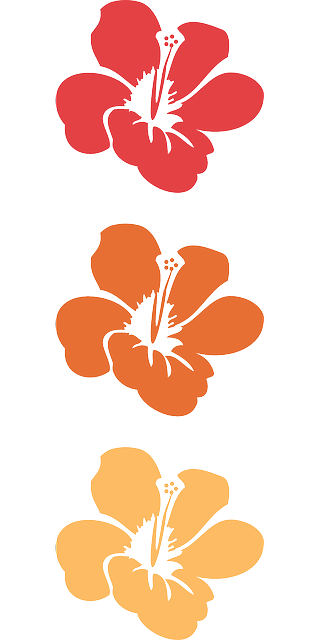 Flower-42957 640