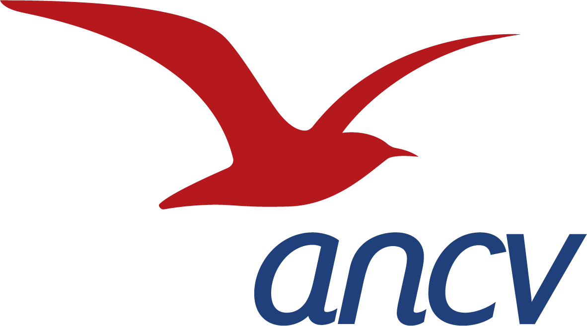 AppLogoIcon