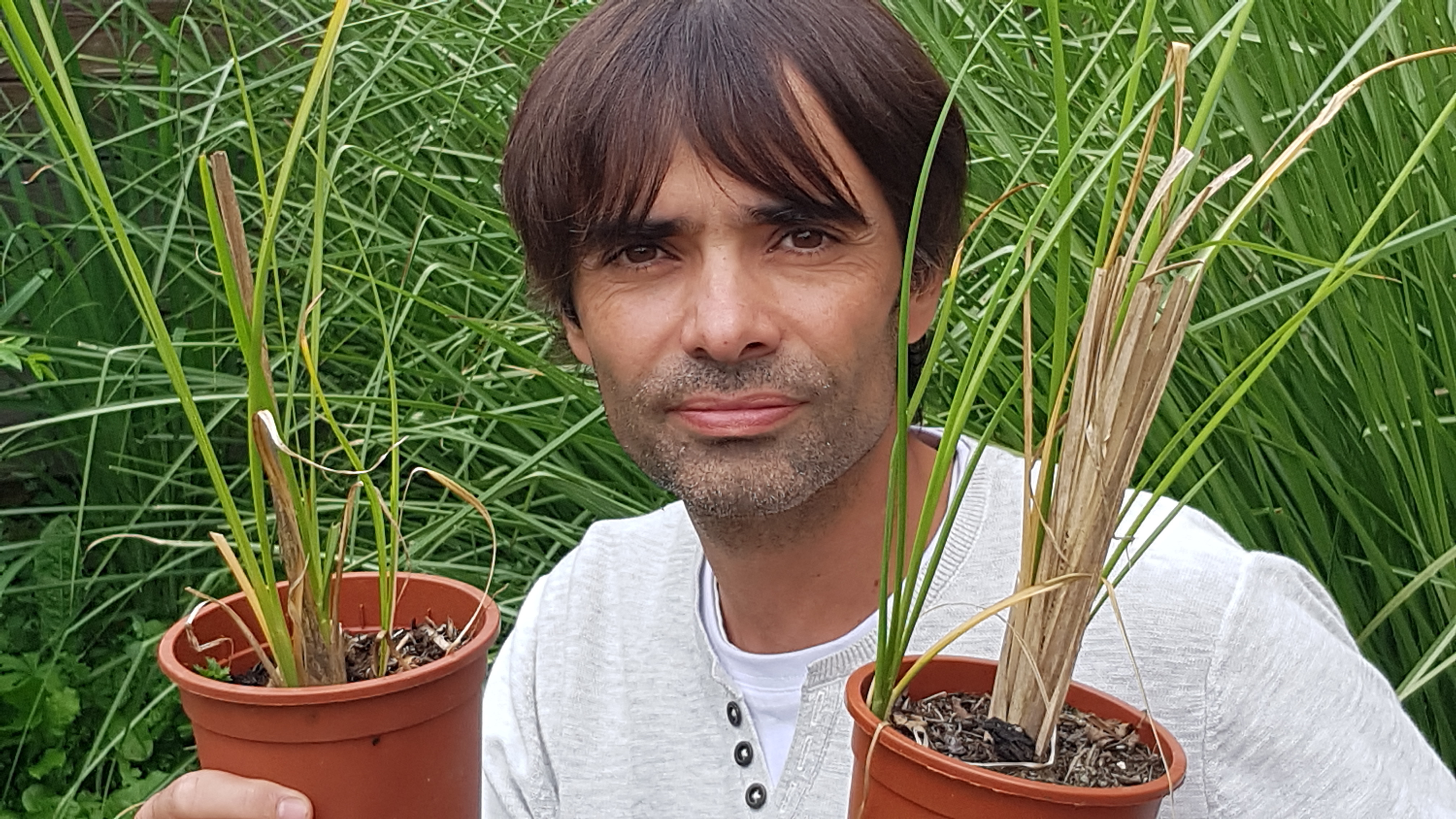 Systeme-Vetiver-Vivien-Riout