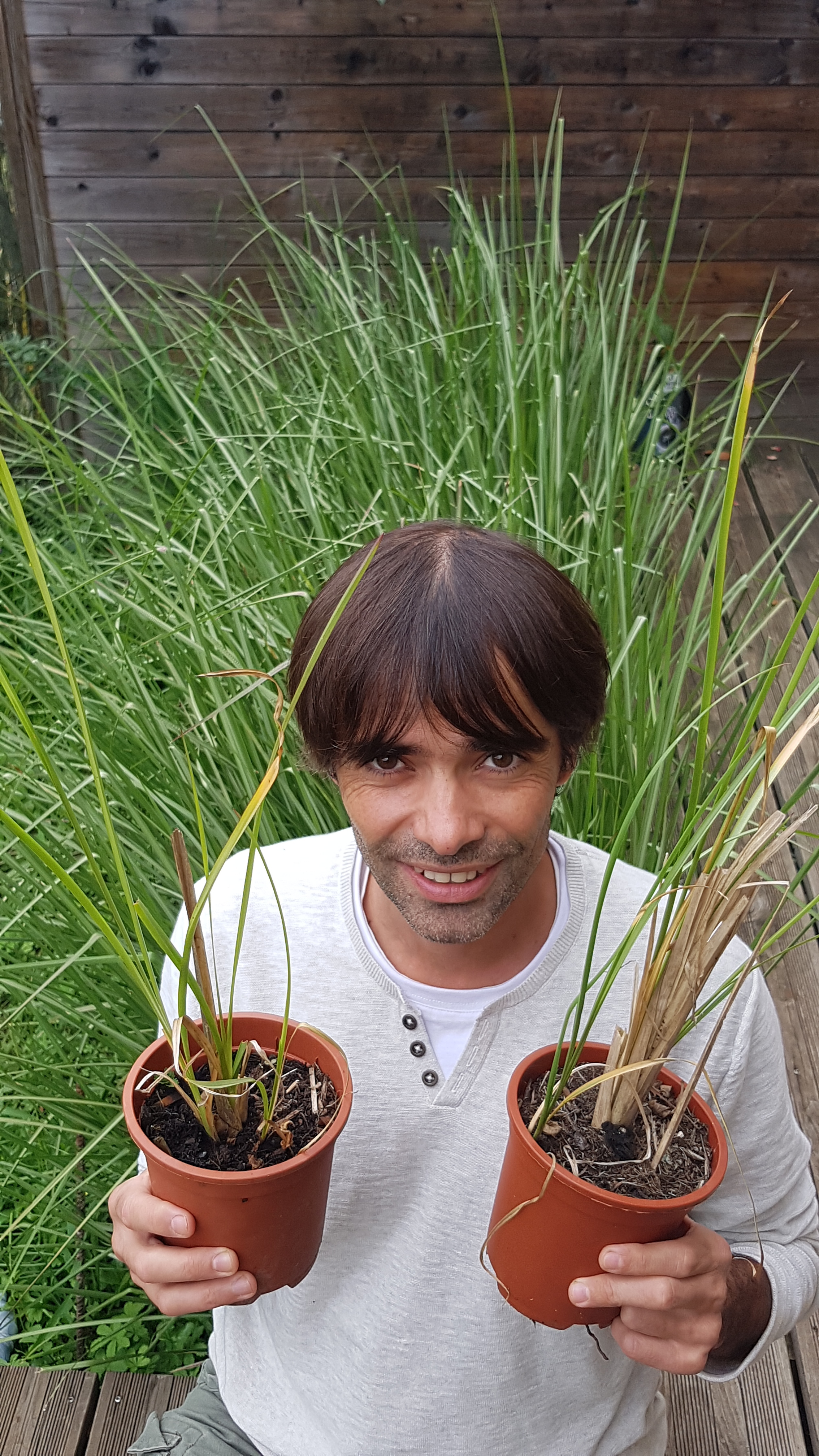 Systeme-Vetiver-Vivien-Riout-02