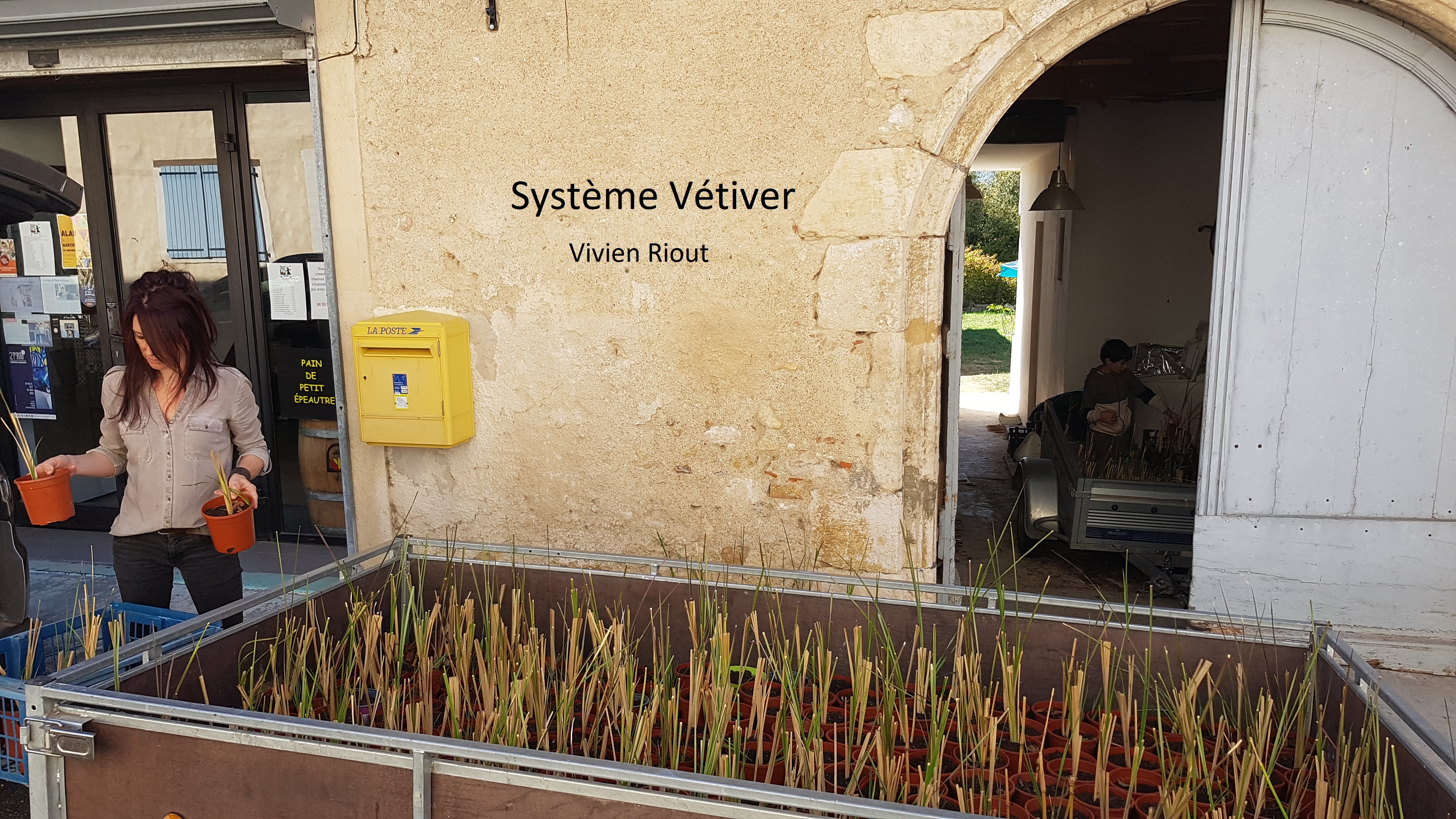 Livraison-Systeme-Vetiver-Vivien-Riout