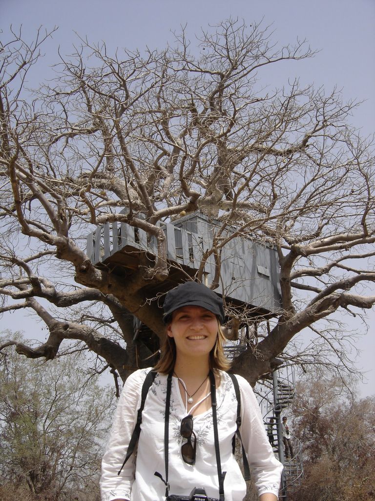 Africa baobab 
