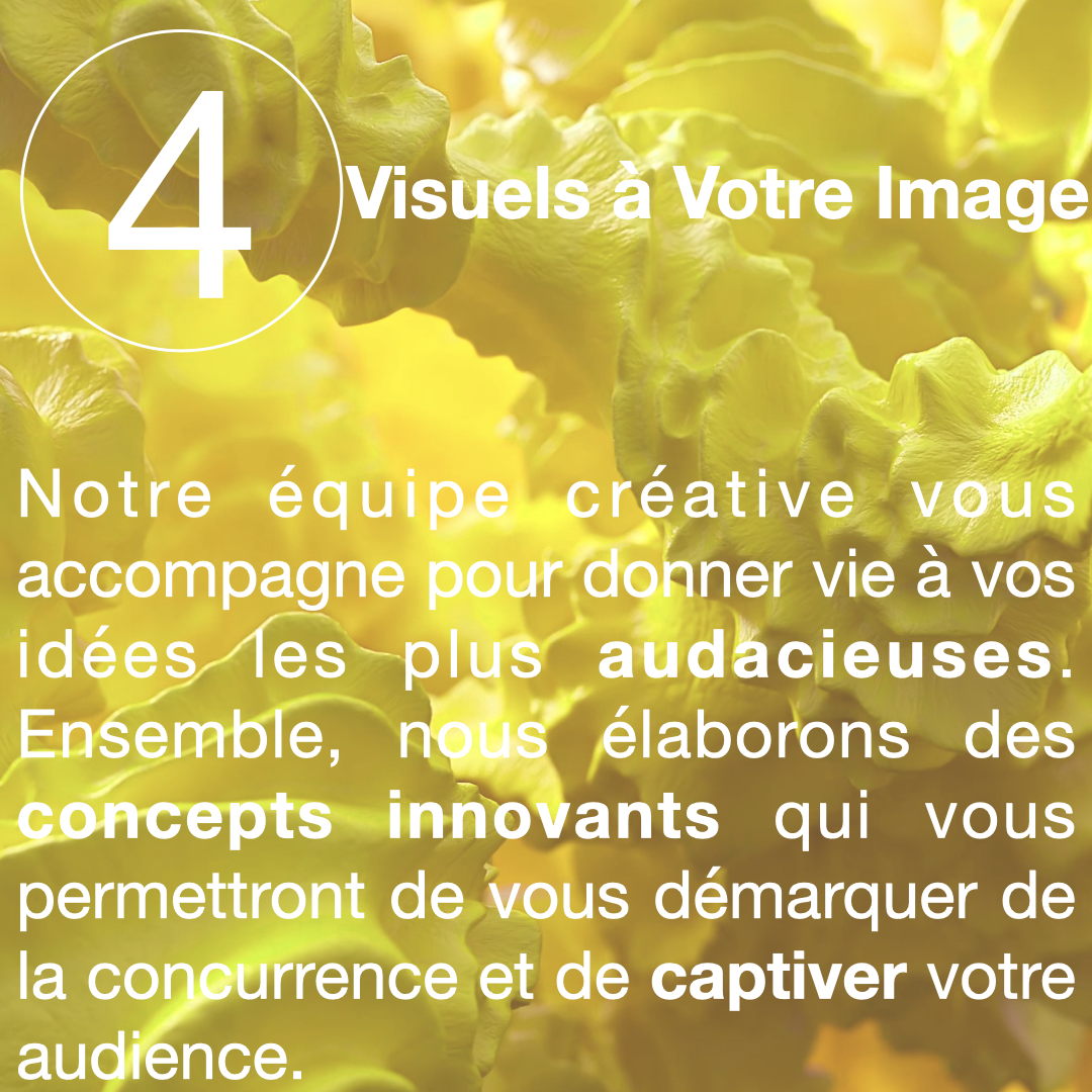 Sans titre 004
