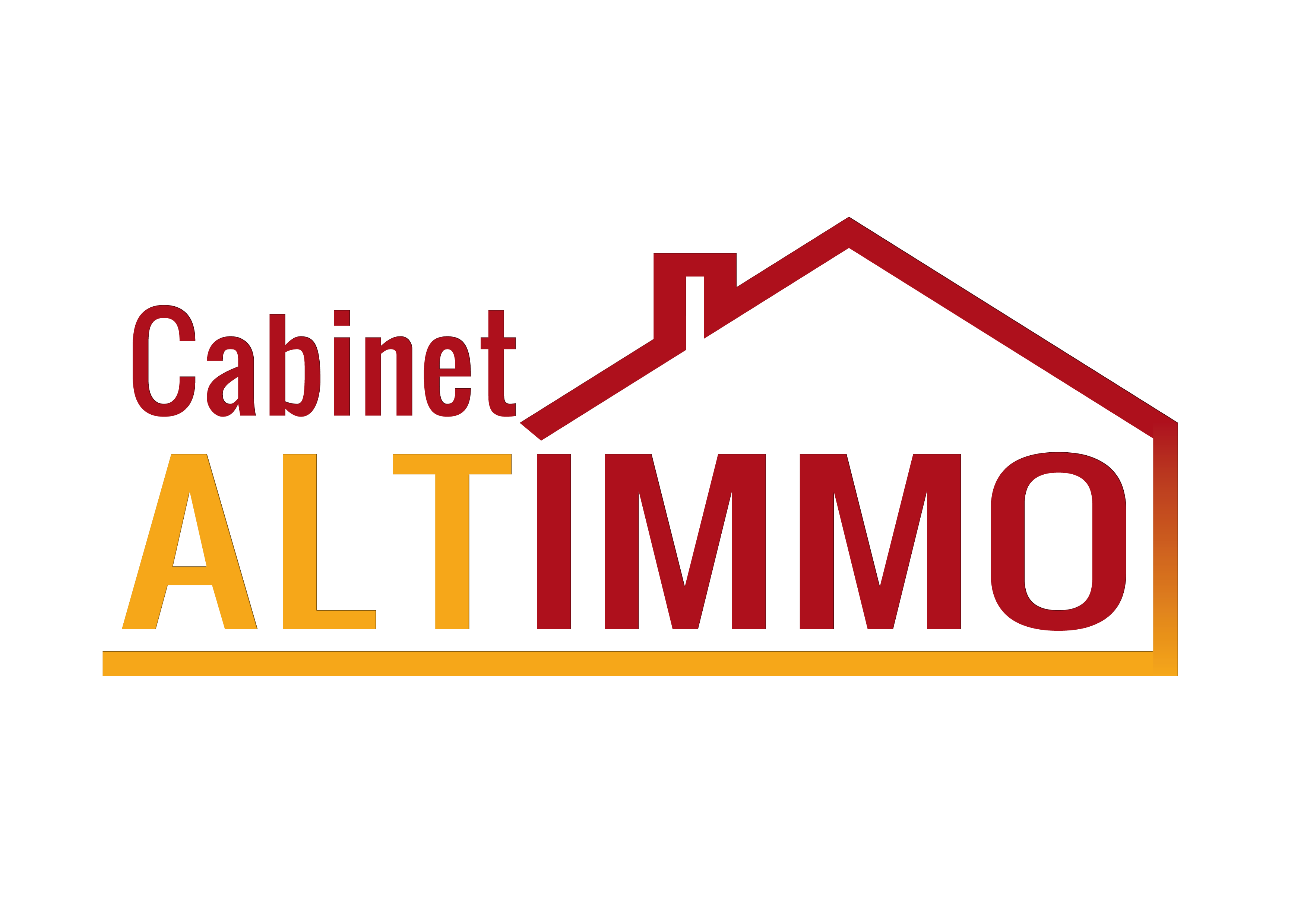 LogoAltimmoTransparent