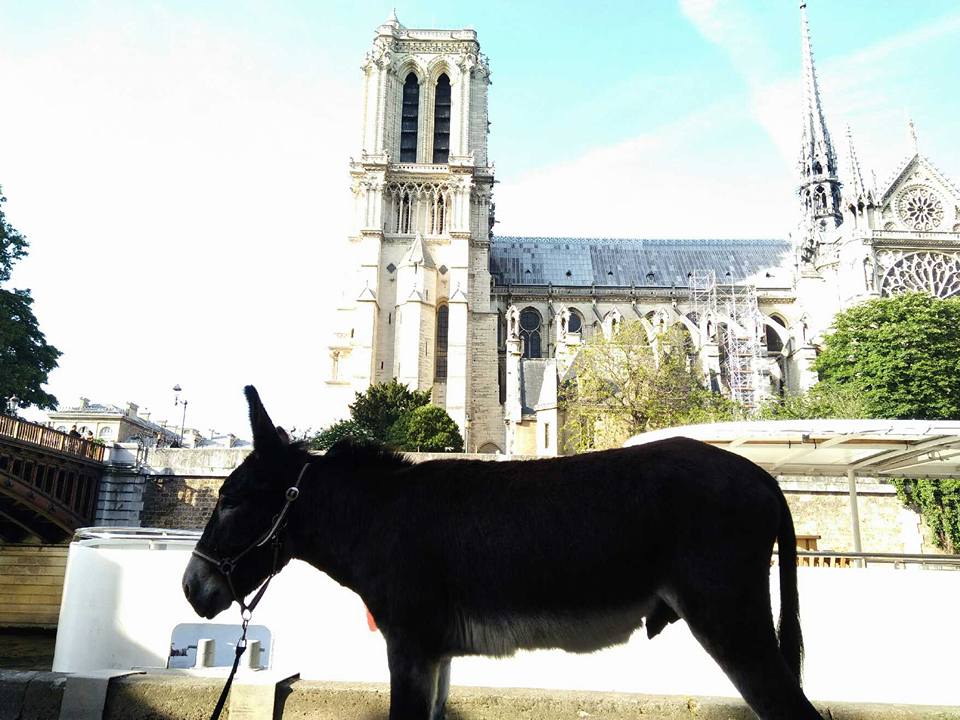 Obama a paris