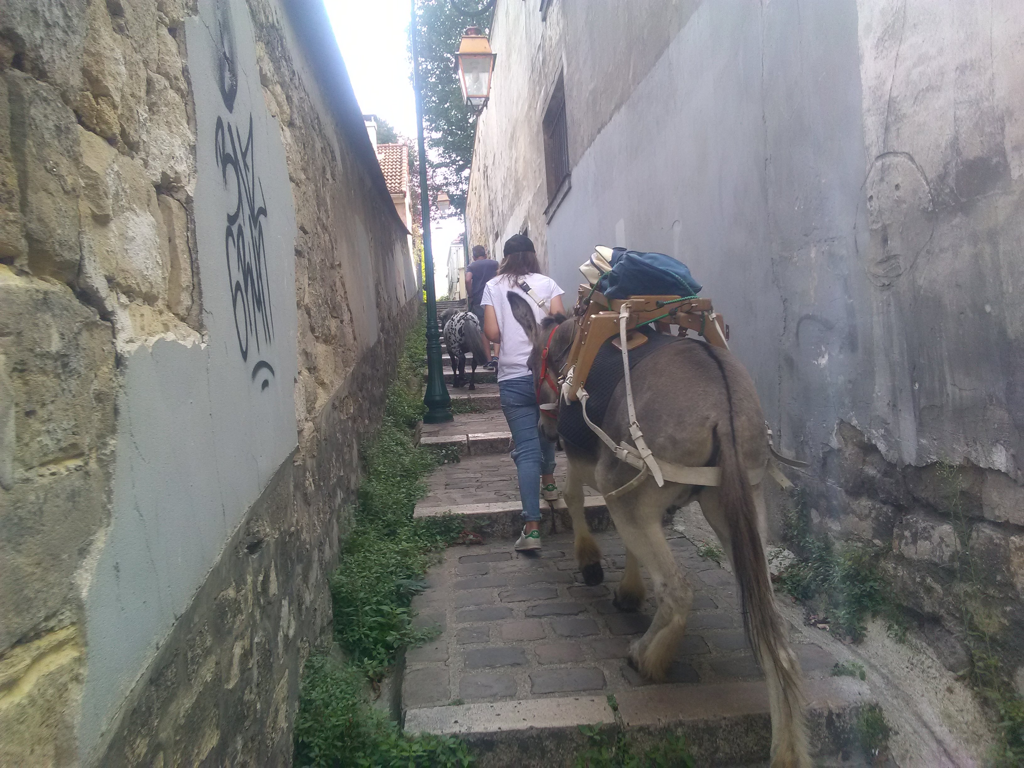 Img 20180812 123513