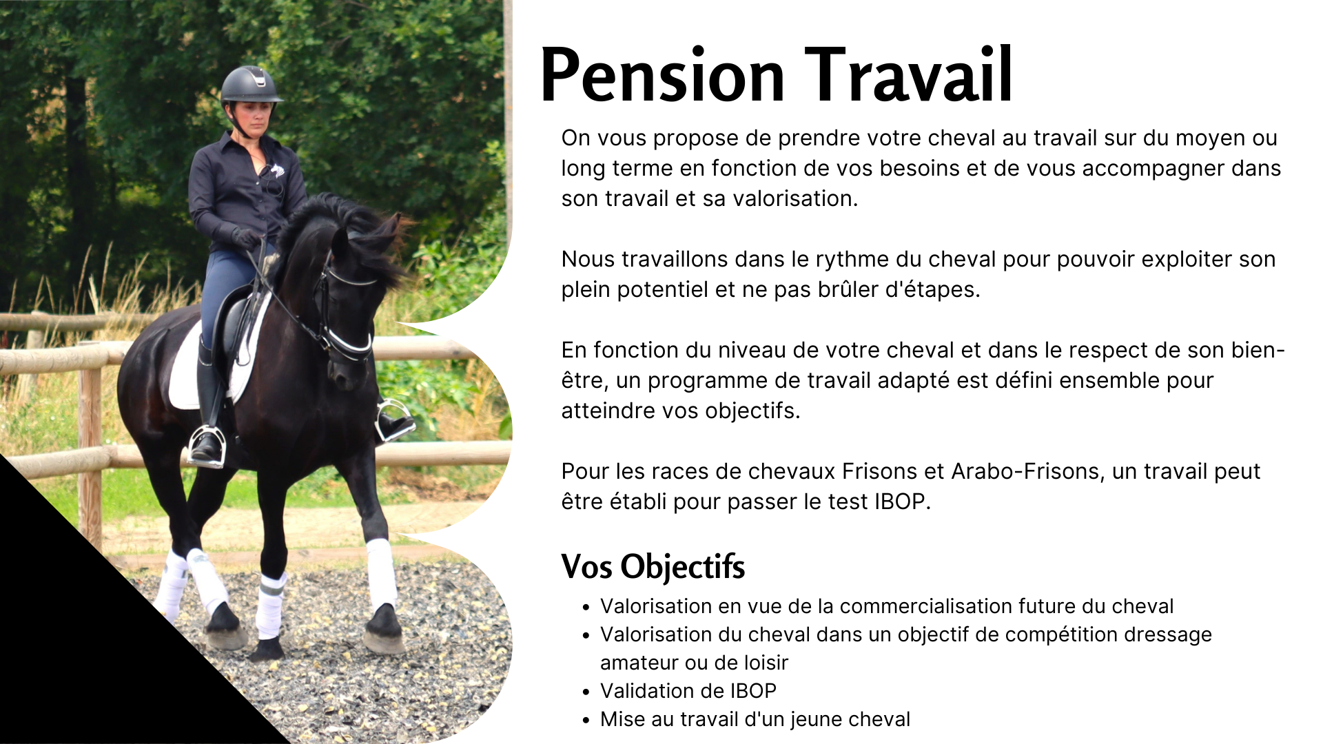 Presentation-Commerciale-Plan-de-projet-pour-Societe-Geometrique-Jaune-et-Blanc-3-