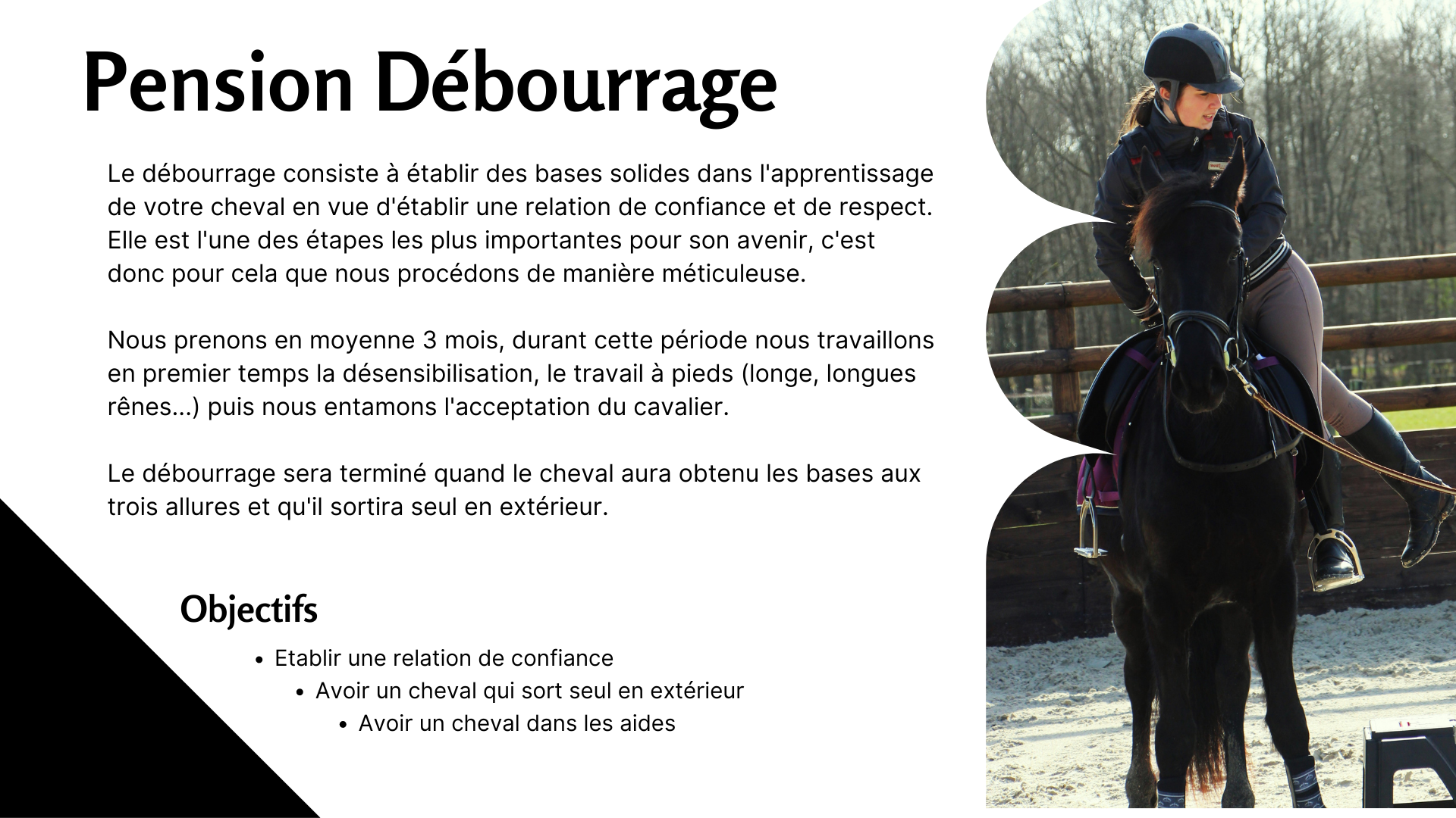Presentation-Commerciale-Plan-de-projet-pour-Societe-Geometrique-Jaune-et-Blanc-4-