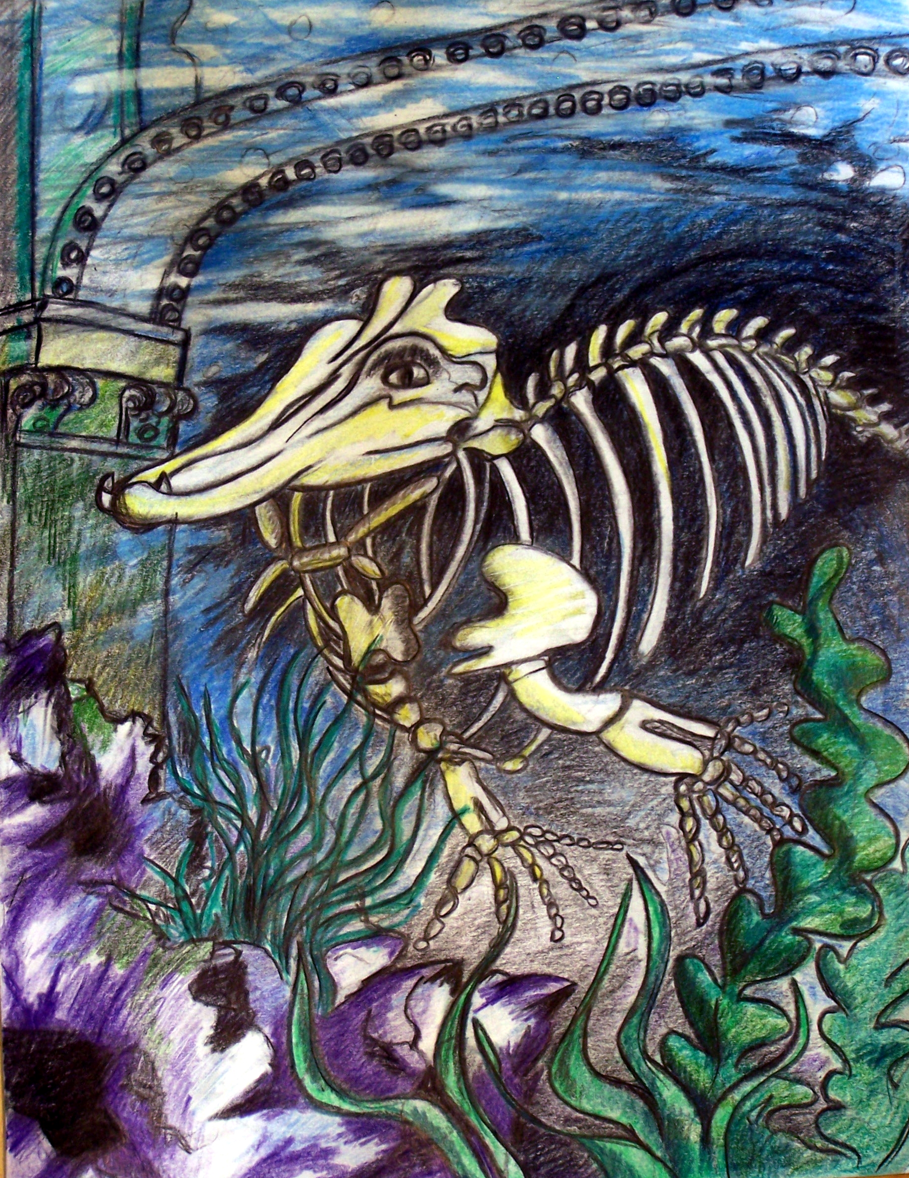 Aquasquelette
