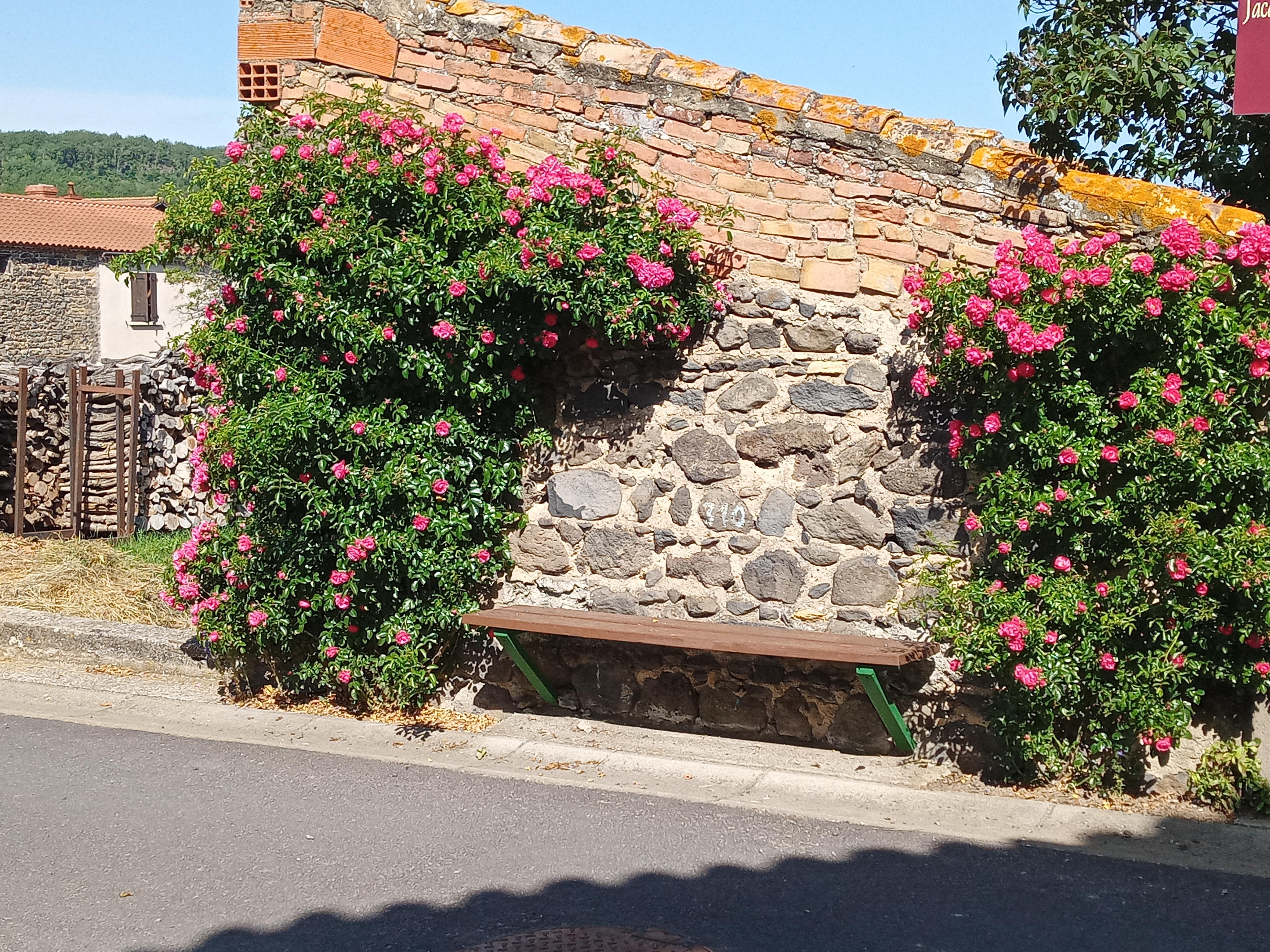 Img 20210616 101517 1