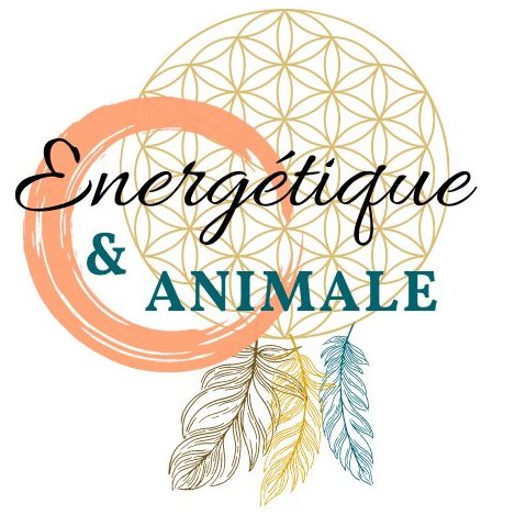 Energetique-et-animale