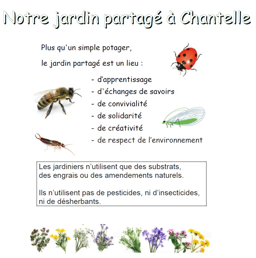 Jardin-partage