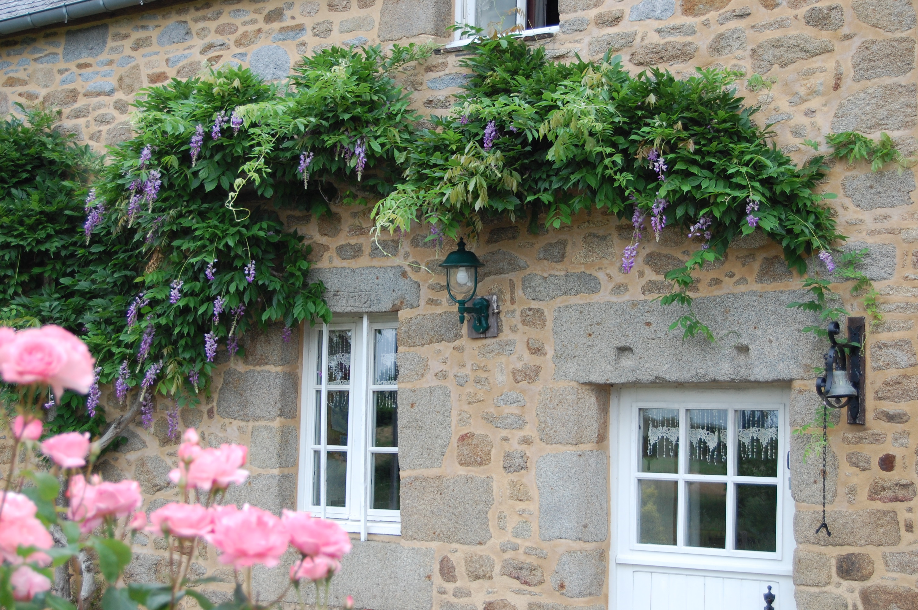 Dsc 0004