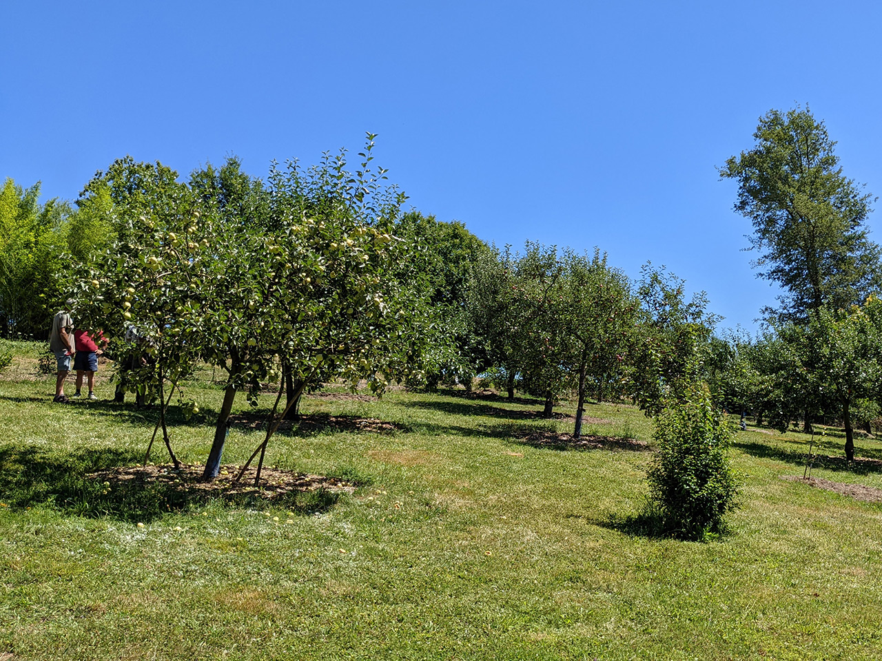 Nouvelle visite au Bois Verger à Maurs