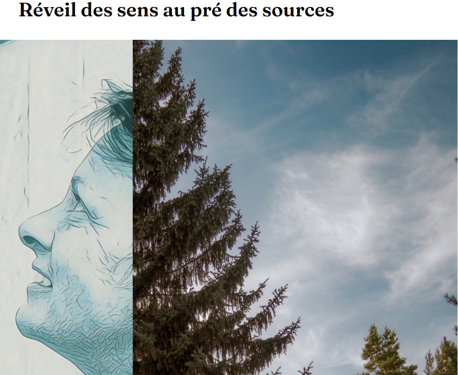 Reveil-3