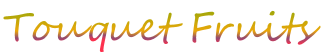 Logo-Touquet-fruits
