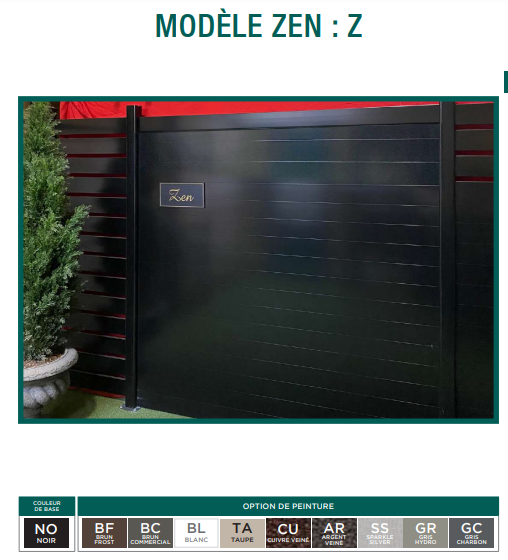 Modele-Zen-Z