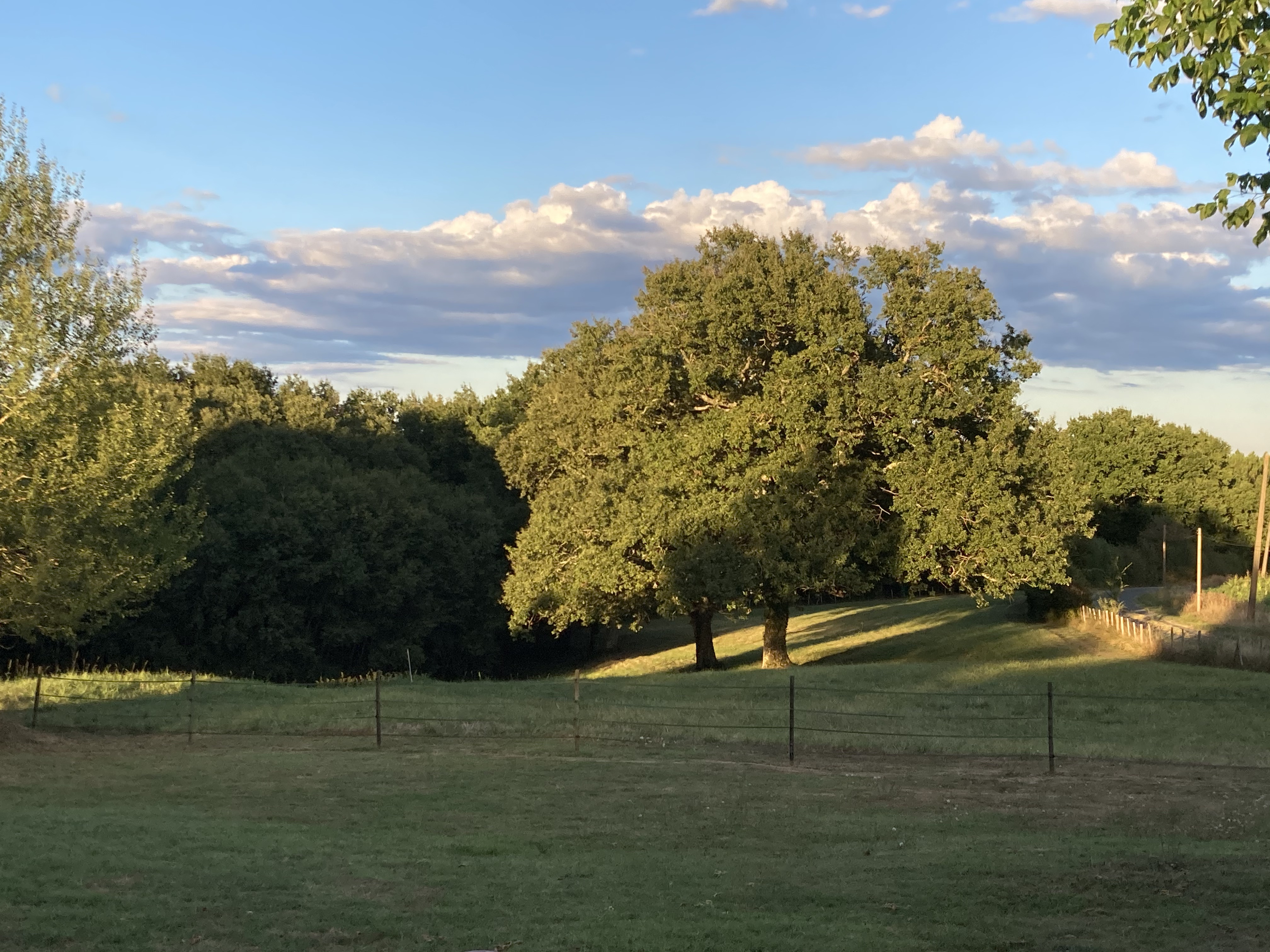 Poèmes: L'été d'Albert Camus