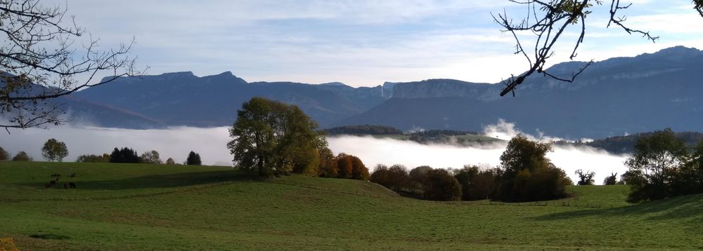 Esvt3-IMG 20201025 092831-2