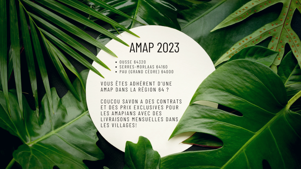 AMAP-2023-comp