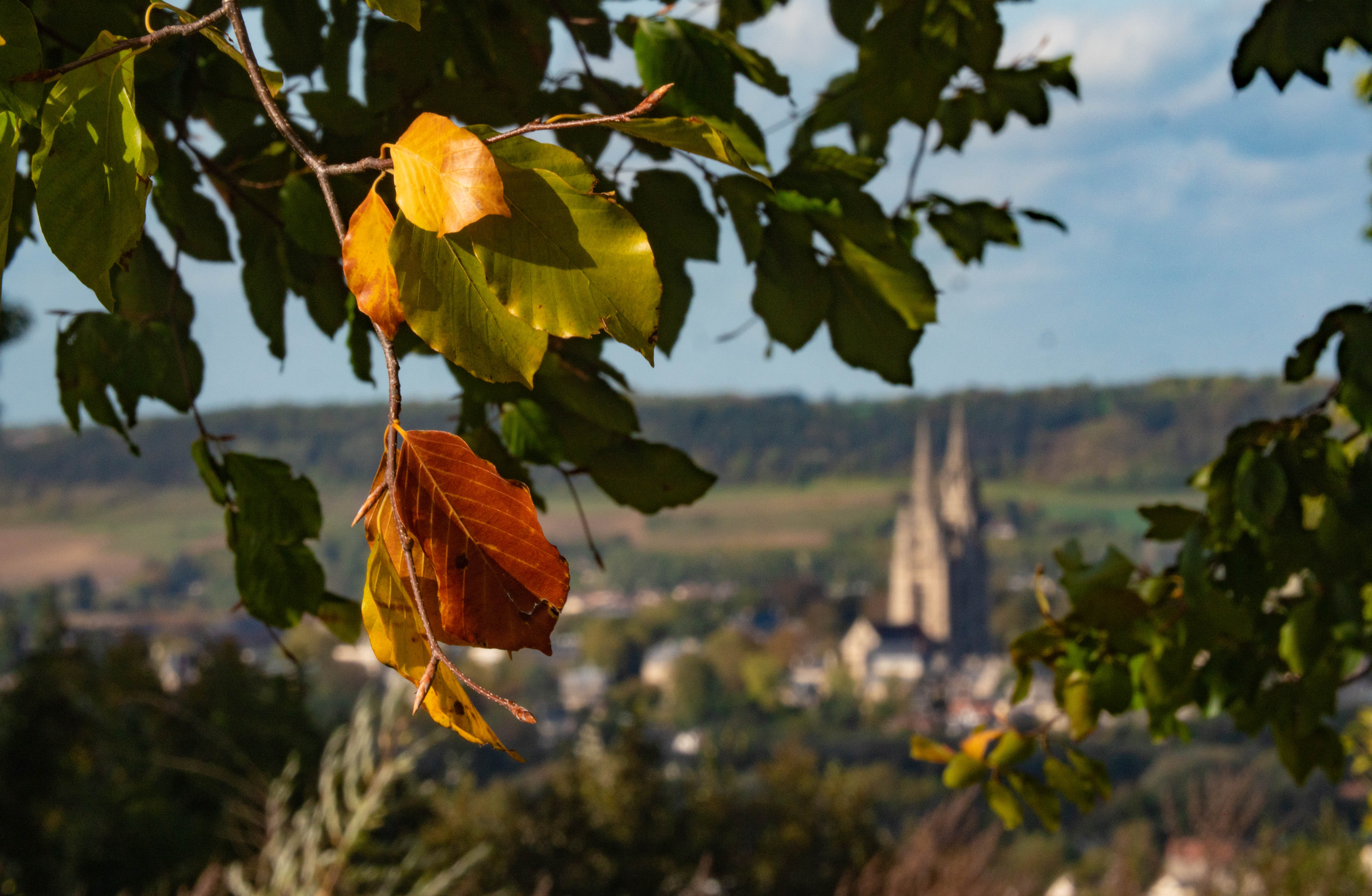 Abbaye-Saint-Jean-des-Vignes-a-Soissons