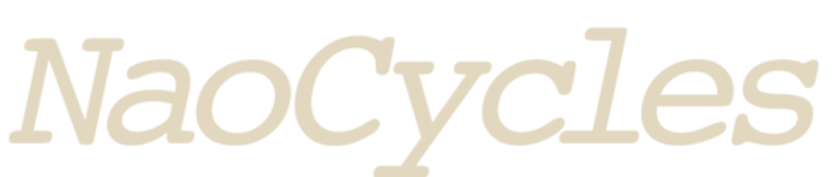 Cropped-NaoLogo2-e1640684363770