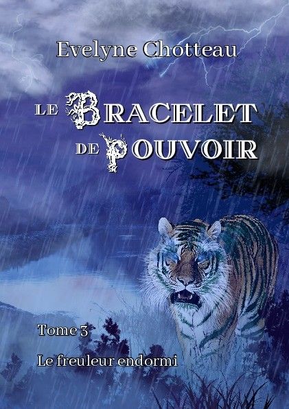 Couverture roman fantasy le bracelet de pouvoir tome 3 le freuleur endormi Evelyne Chotteau