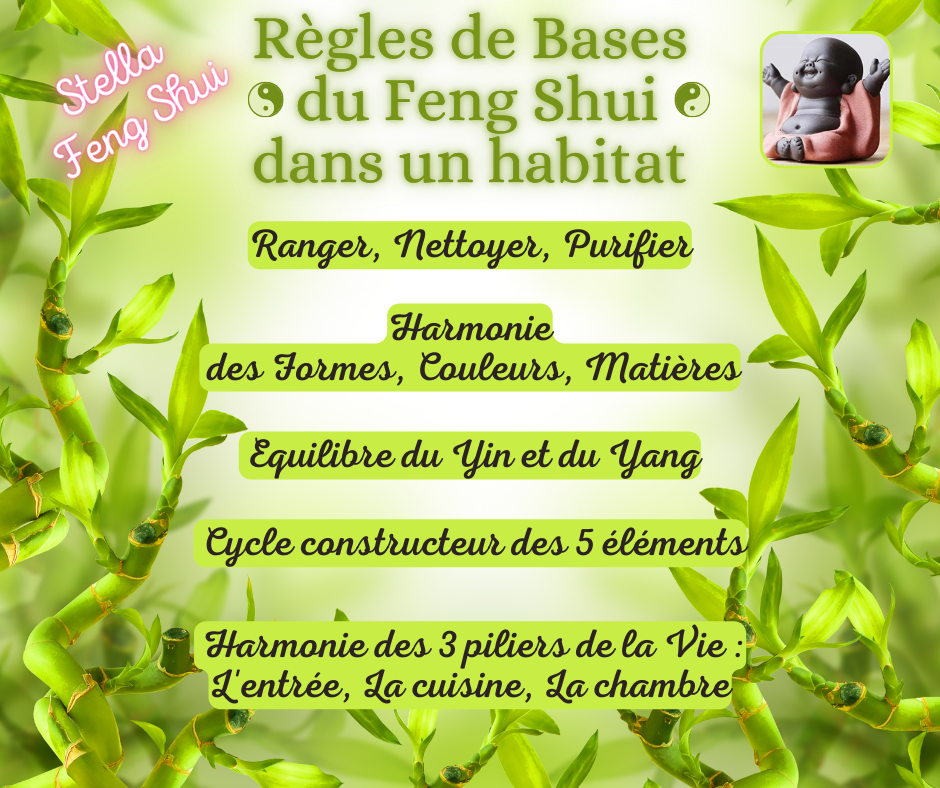 Premiers-conseils-de-Stella-