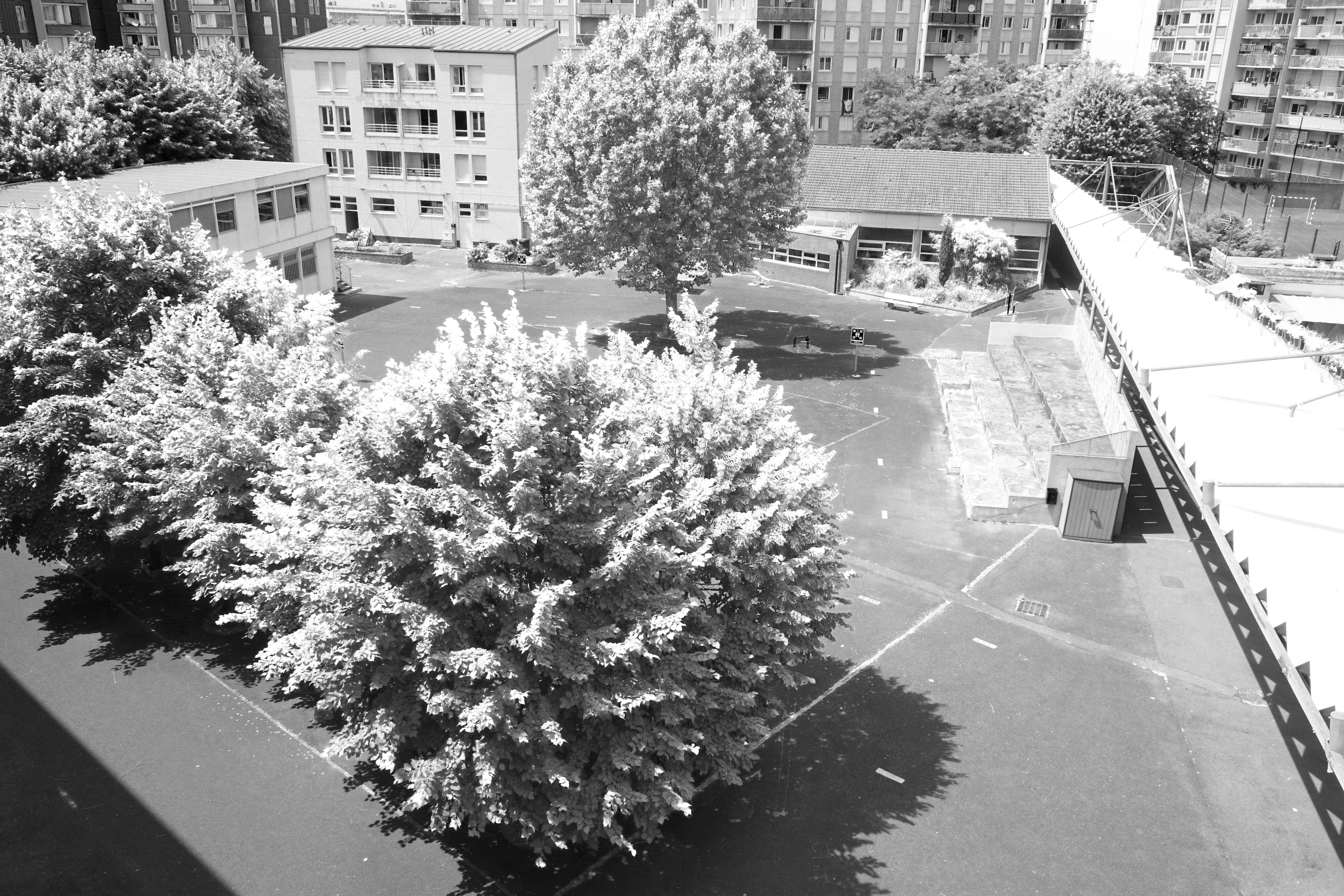 Vue-aerienne-cour-2