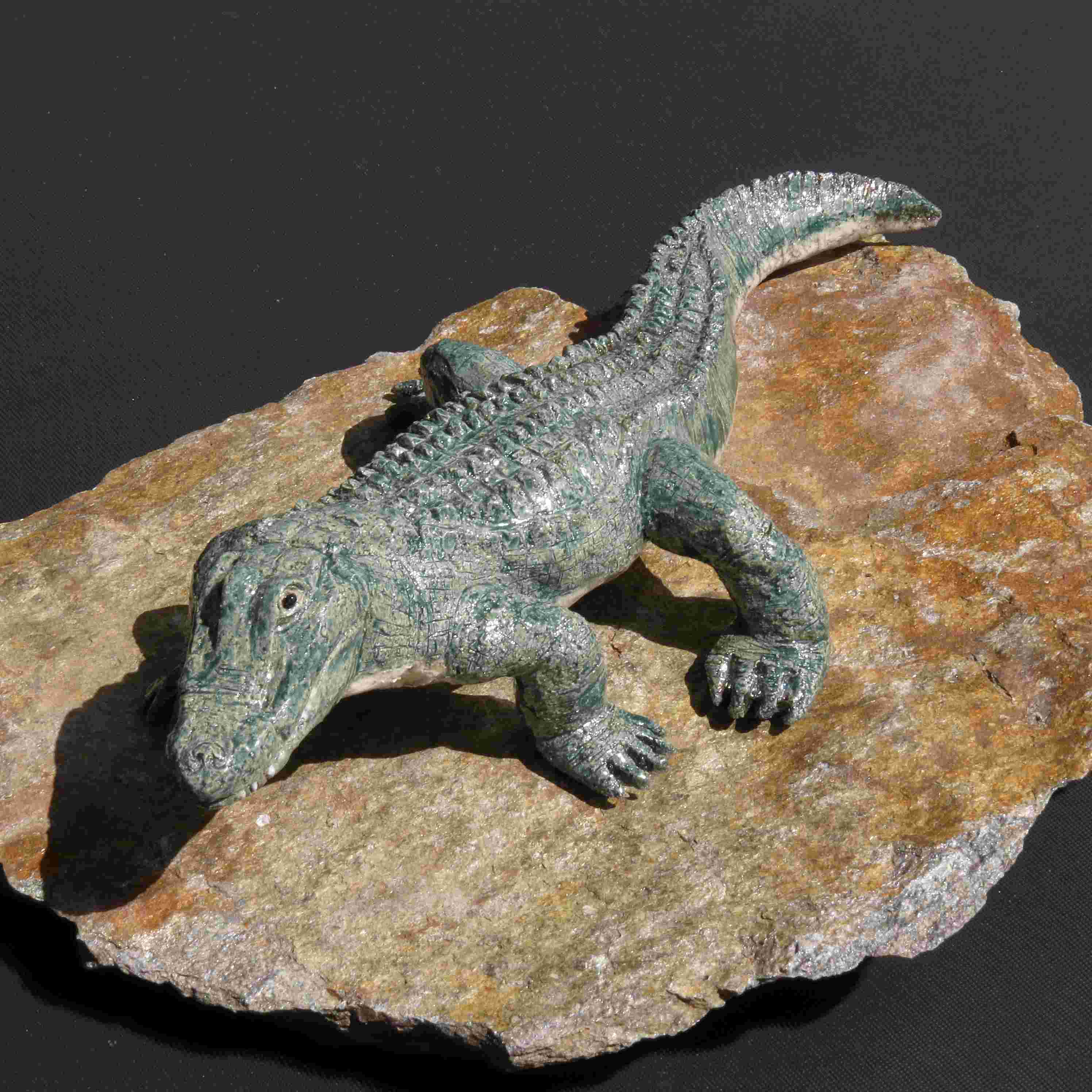 Alligator