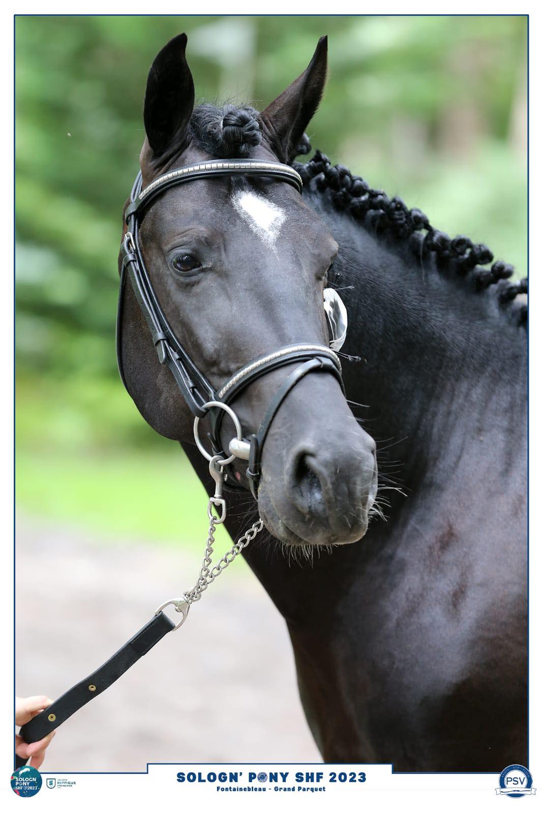Jumpstar du cacor