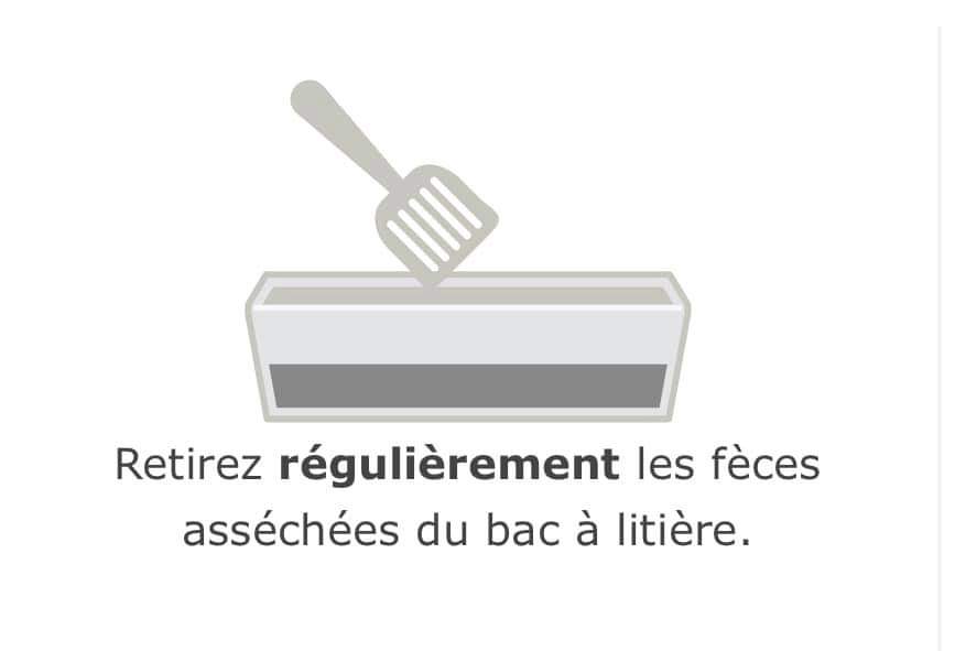 FB IMG 1692881340512