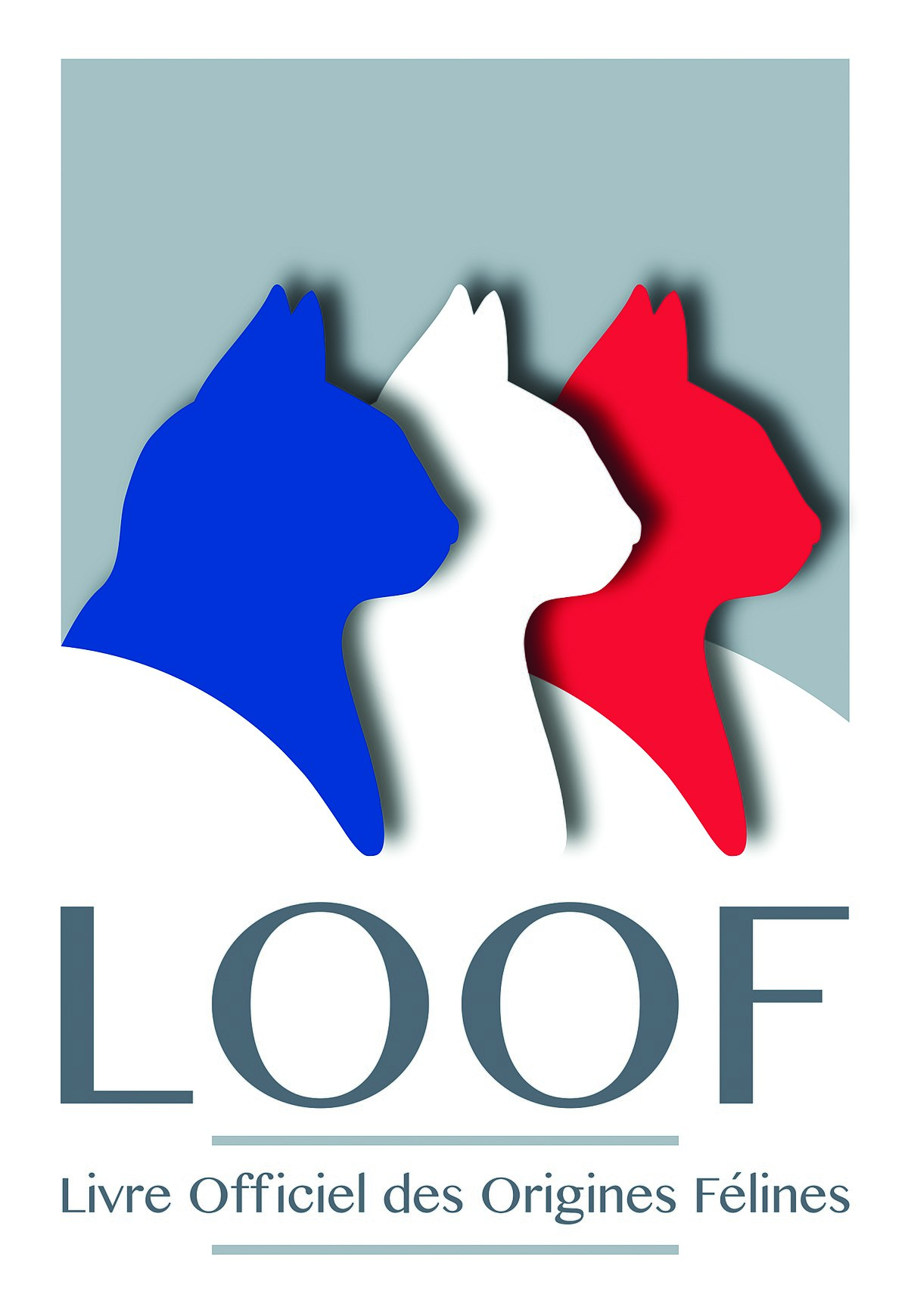 1200px-logo loof