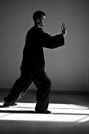Sebastien zacharie taichichuan yang