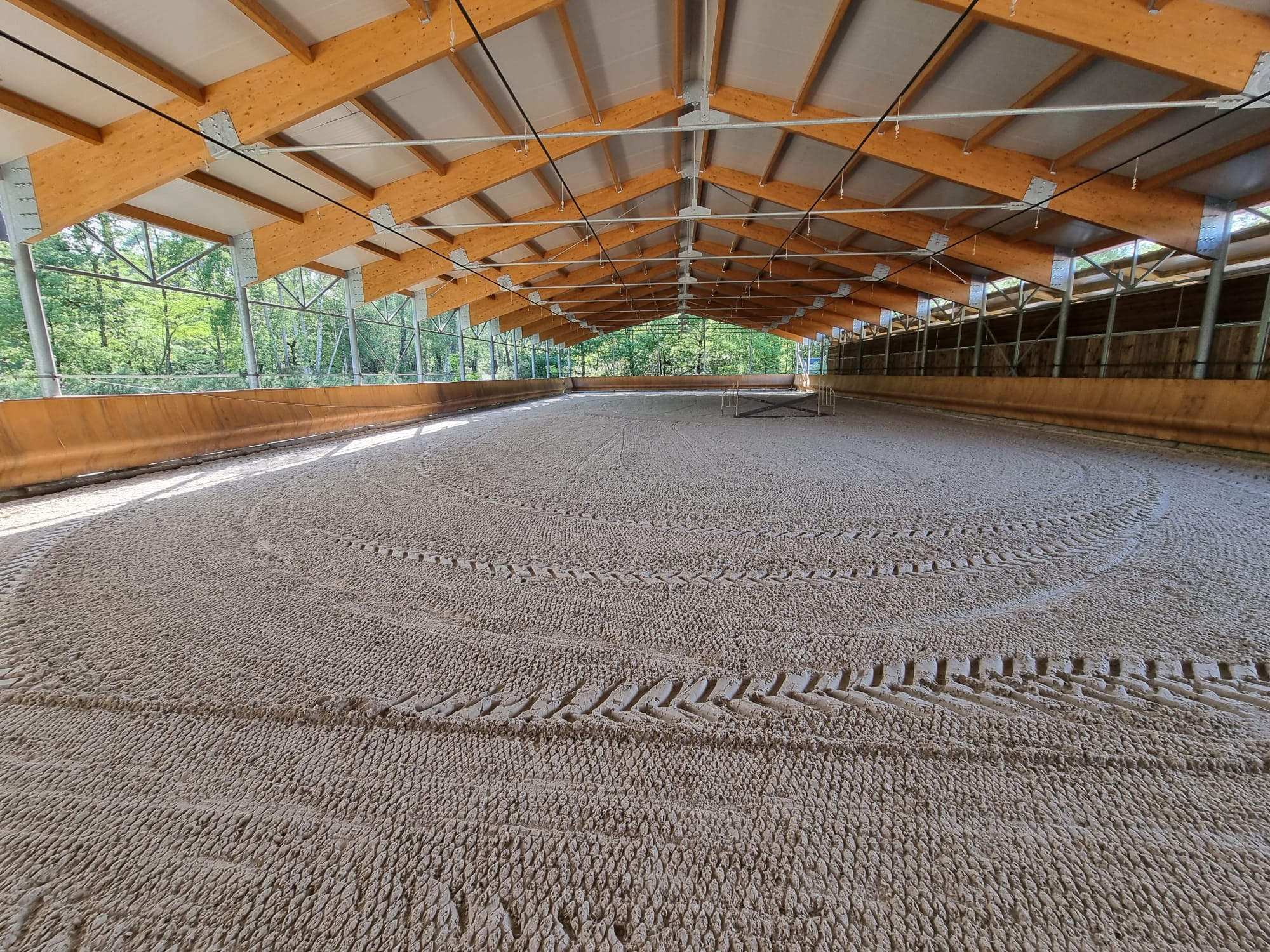 Photo 2023 08 28 17 50 00 4