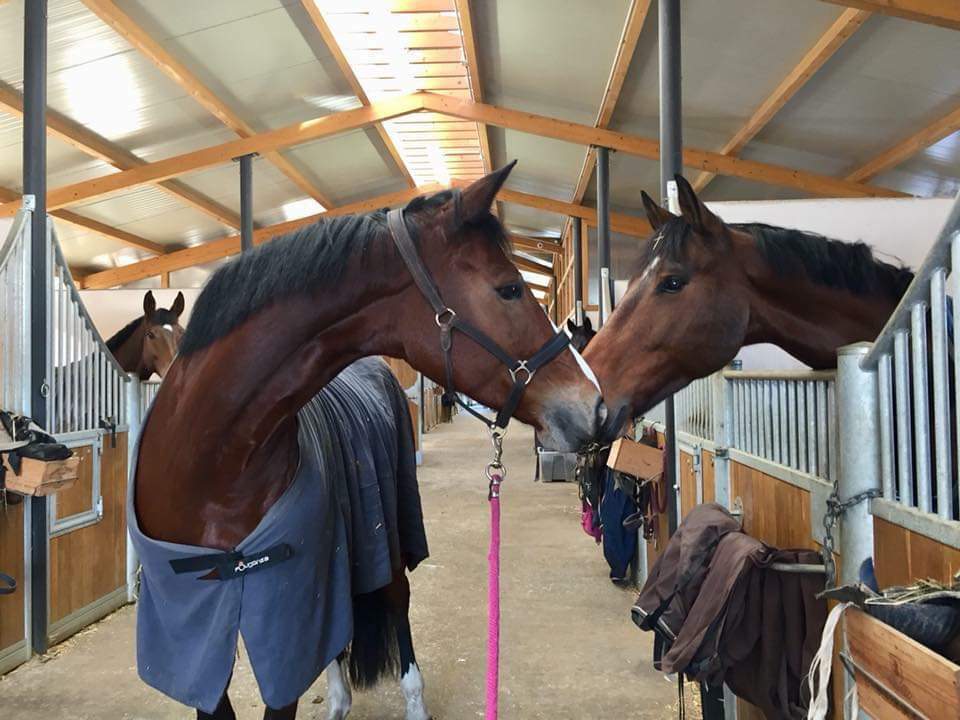 Photo 2023 08 28 17 50 00