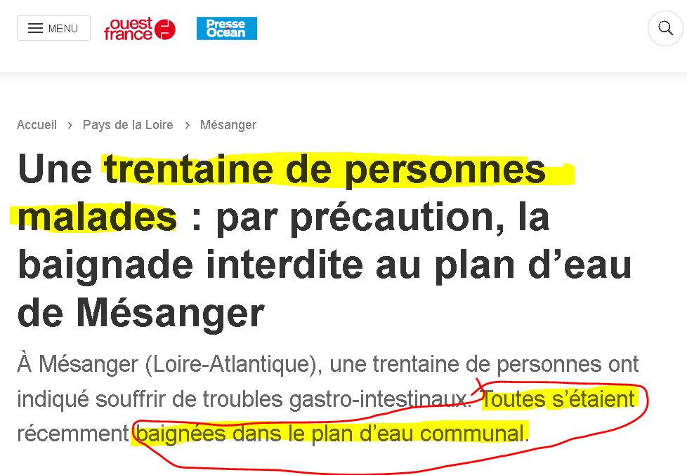 ARS: Chiens dcd et baigneurs malades-Des recommandations ARS peuvent devenir dangereuse 