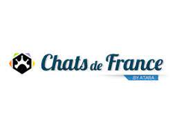 Chats dde france