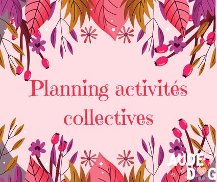 Planing des activités collectives de Septembre